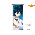 Póster de tela Fairy Tail Gray