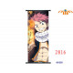 Poster de tela Fairy Tail Natsu