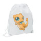 Mochila saco Charizard