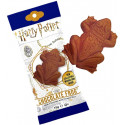 Chocolate Frog + holografic Card Harry Potter
