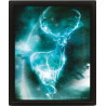 Harry Potter Póster Efecto 3D Enmarcado Expecto Patronum 26 x 20 cm