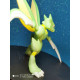 Figura Scyther