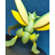 Figura Scyther